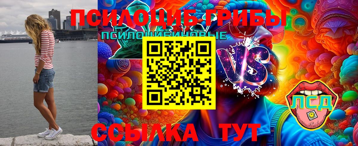 Галлюциногенные грибы мицелий  Вход с VPN  купить   Кисловодск 