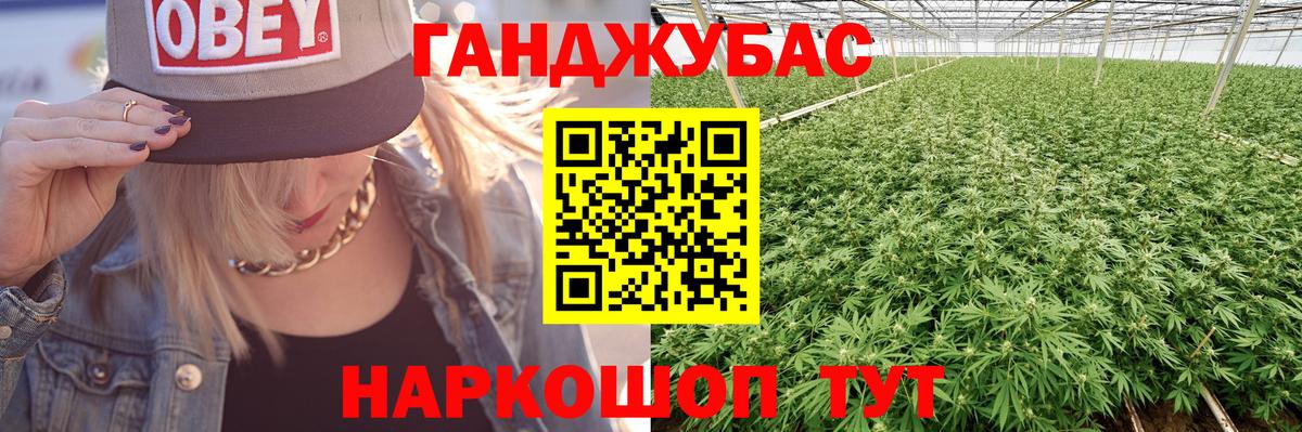 Шишки марихуана гибрид Кисловодск