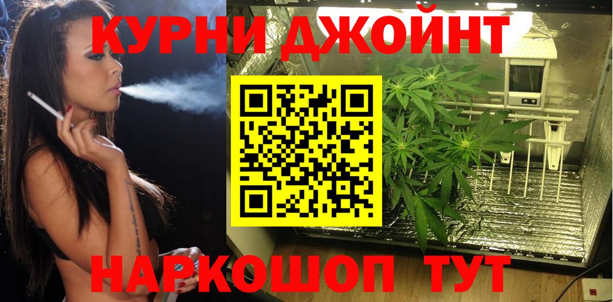 Кисловодск  Канабис SATIVA & INDICA  Вход с VPN  Марихуана конопля 